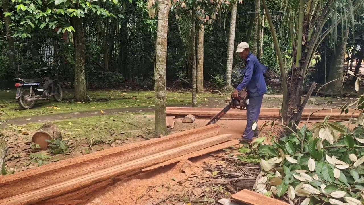 MODERN SAW IN ACTION! A SMART WAY TO SPLIT COCONUT WOOD PLATES WITH EASE!-agriculture farming