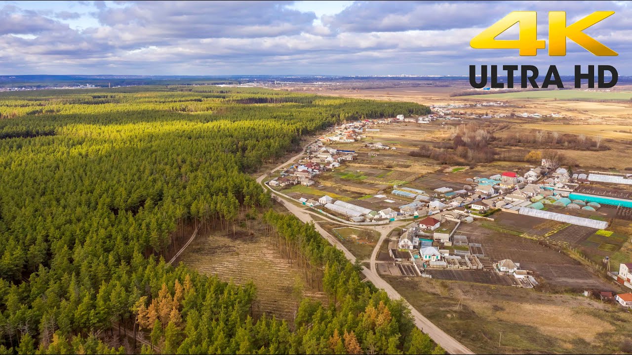 Харьковская область, район Васищево, Лизогубовка, Терновая