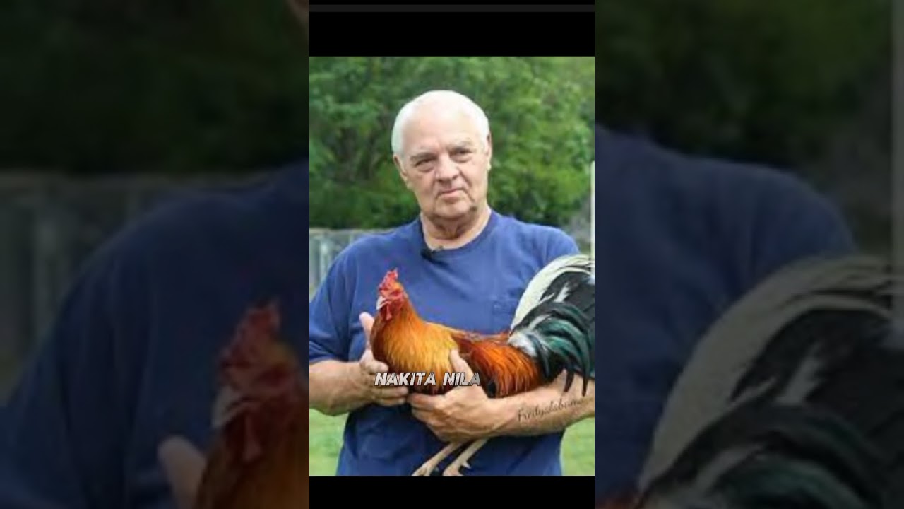 POSSUM SWEATER HISTORY