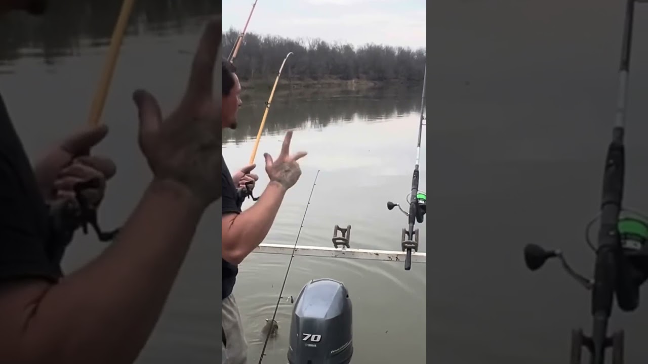 Got me freaking excited #howtocatchcatfish  #fishing #catfish #catchmorefish #flatheadfishing