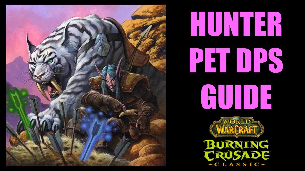 WOW TBC Classic Hunter PET DPS GUIDE: Pet Talents, Abilities, Buffs and LOTS MORE!!!