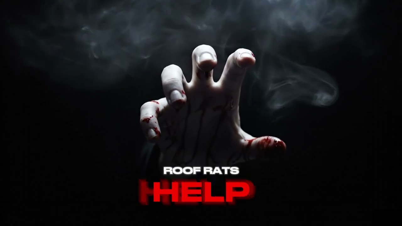 Roof Rats - HELP