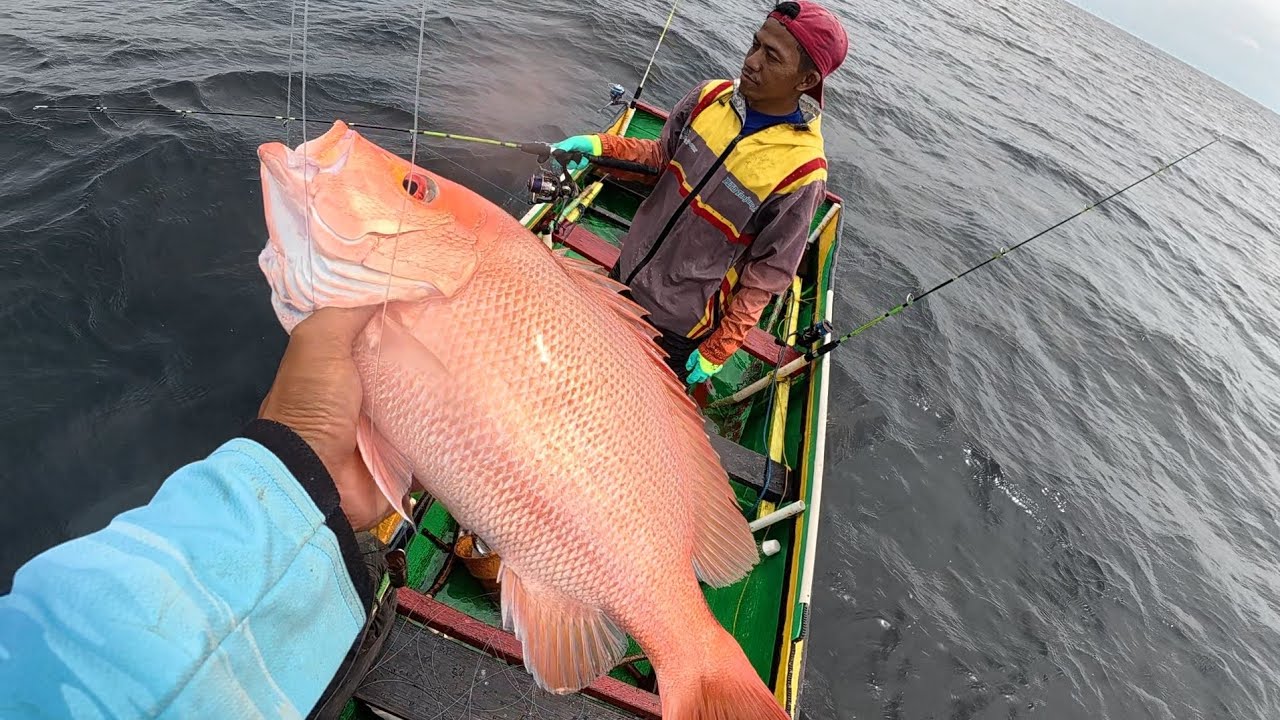 Spot ini,ikan nya kelaparan umpan turun lansung disambar streek bertubi tubiii🔥🔥