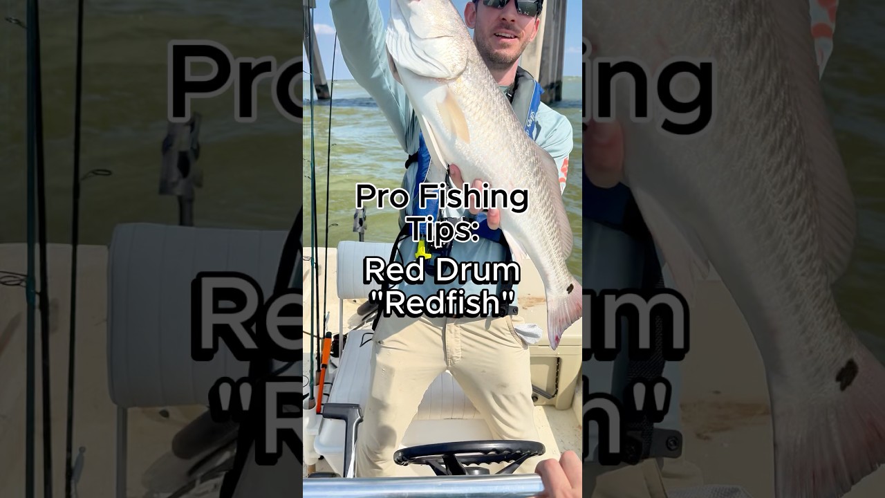 3 совета по ловле морского окуня #рыбалка #морскойокунь #рыбалкасбрега