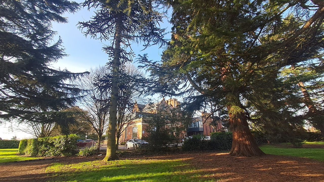 Lascelles Park - Geoff Salt