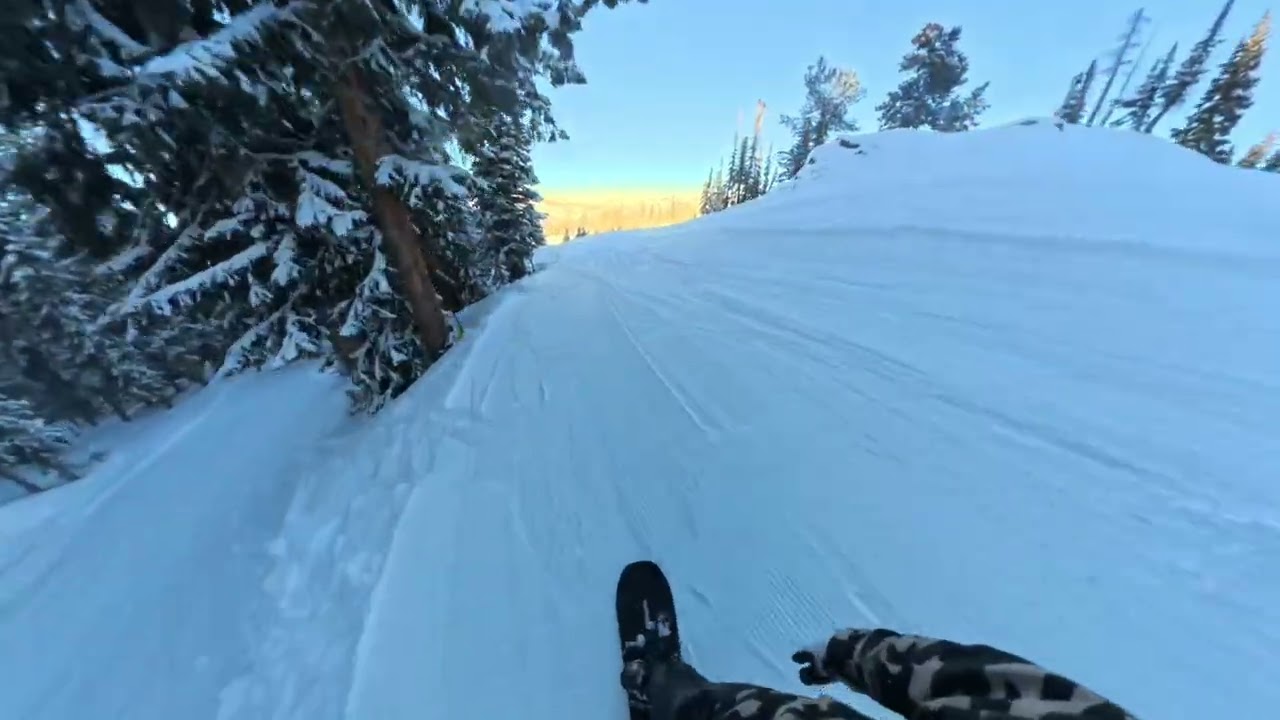 No Crowds, No Music, Just Trees - Immersive Snowboarding ASMR