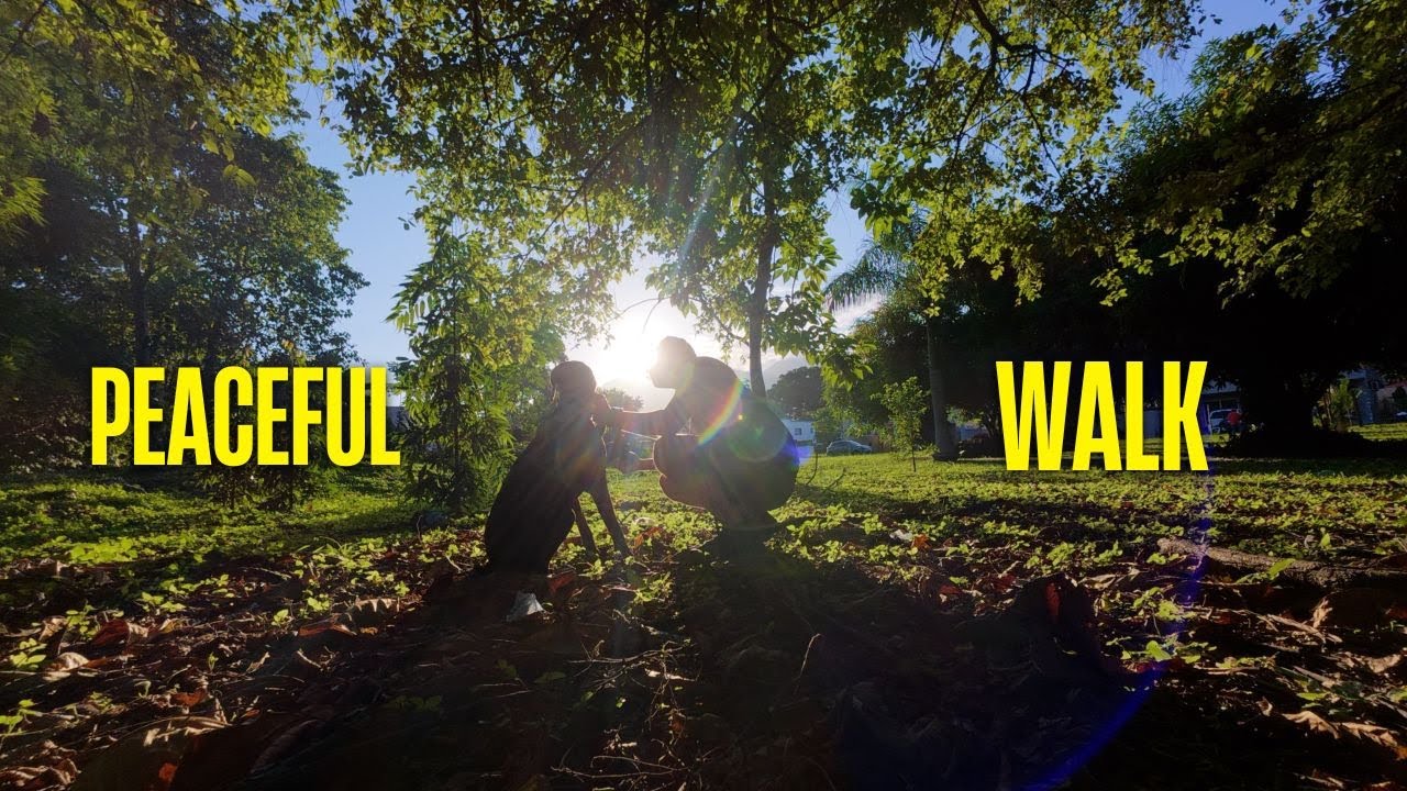 A Peaceful Walk & Run With My Dog Millie | Relaxing No-Talking Dog Vlog