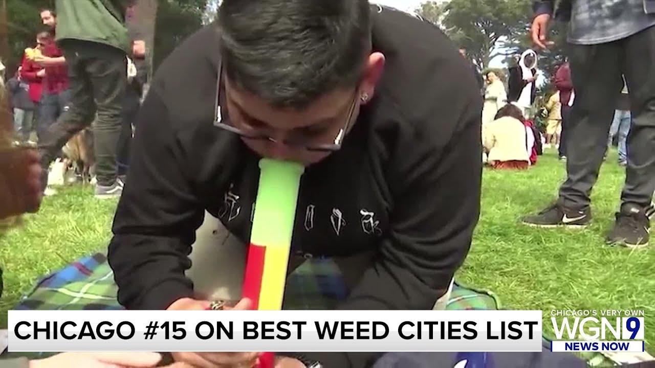 Chicago ranks 15th on best weed cities list