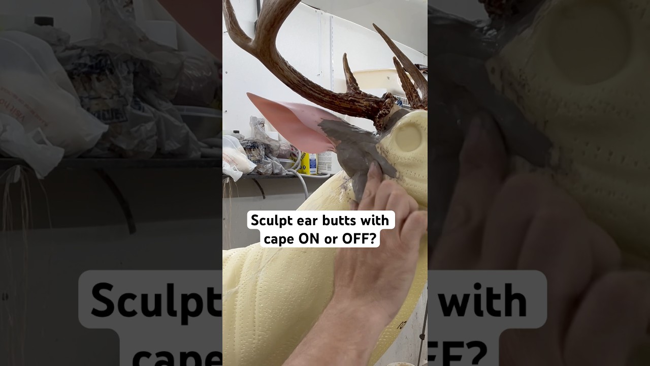 Depends on what mood I&rsquo;m in #deer #hunting #taxidermy #thecedarridgechronicles