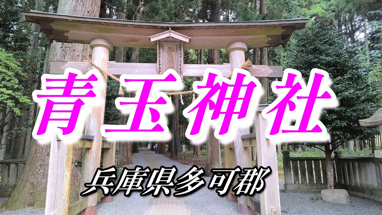 【 青玉神社 】樹齢1000年と言われる県指定天然記念物の杉林があるパワースポット ～兵庫県多可郡多可町～
