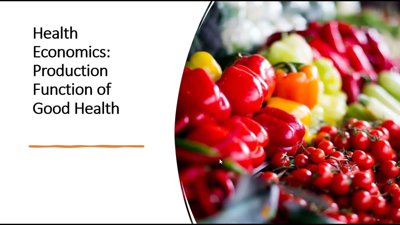 Health Economics: Production Function of Good Health