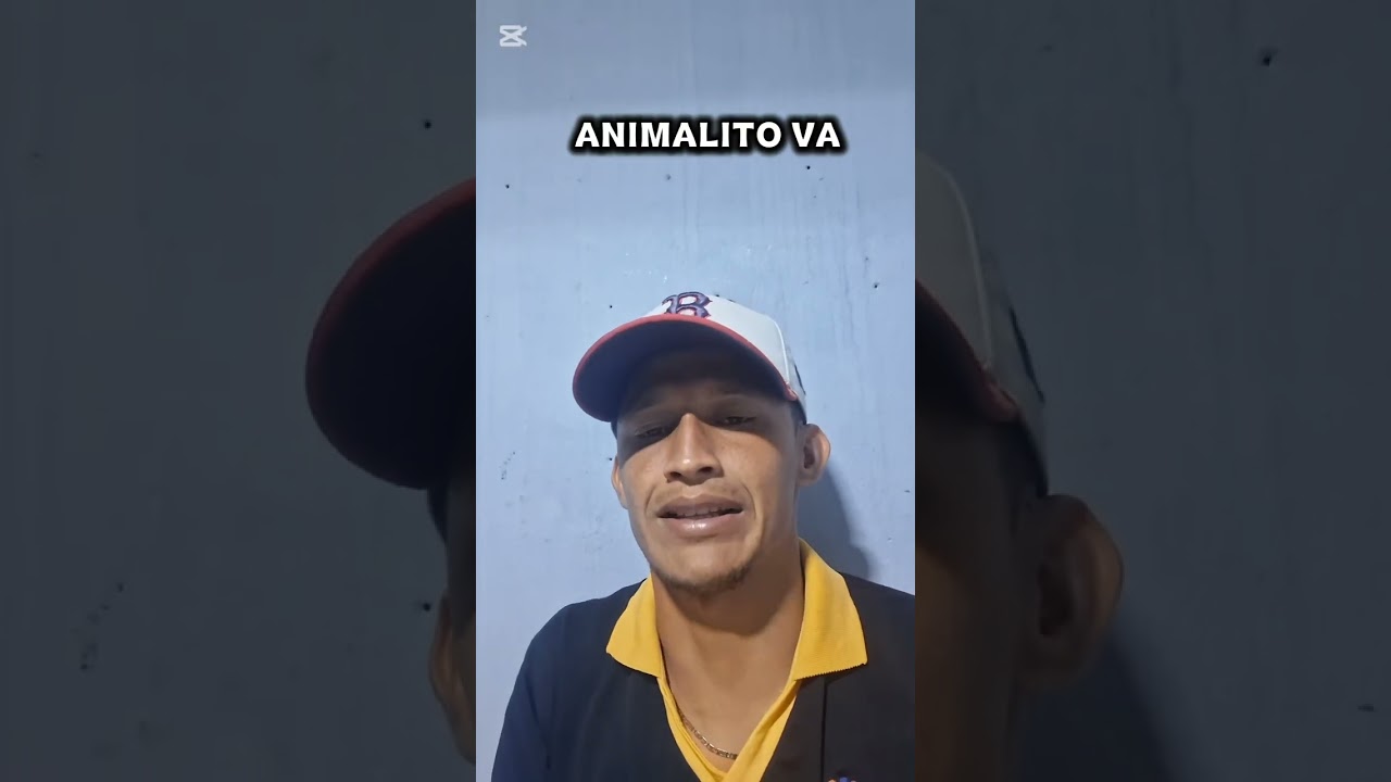 💫Datos de animalitos para 🎰lotto activo 🚜granjita 🦉guacharo activo para d&iacute;a jueves 12/02/2026📅