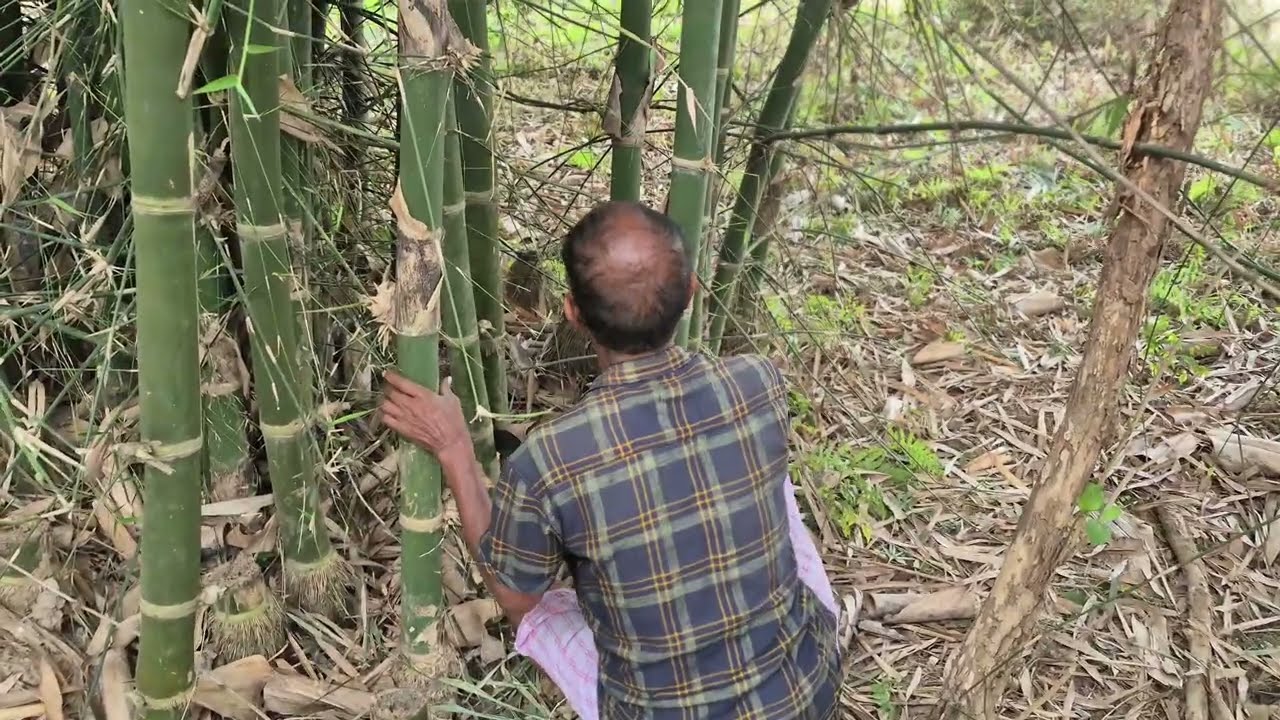 Goat farm making #goatfarming #villagevlog #villagelife #vlog 