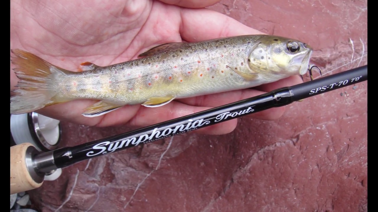 Peche a la truite dans les alpes maritimes