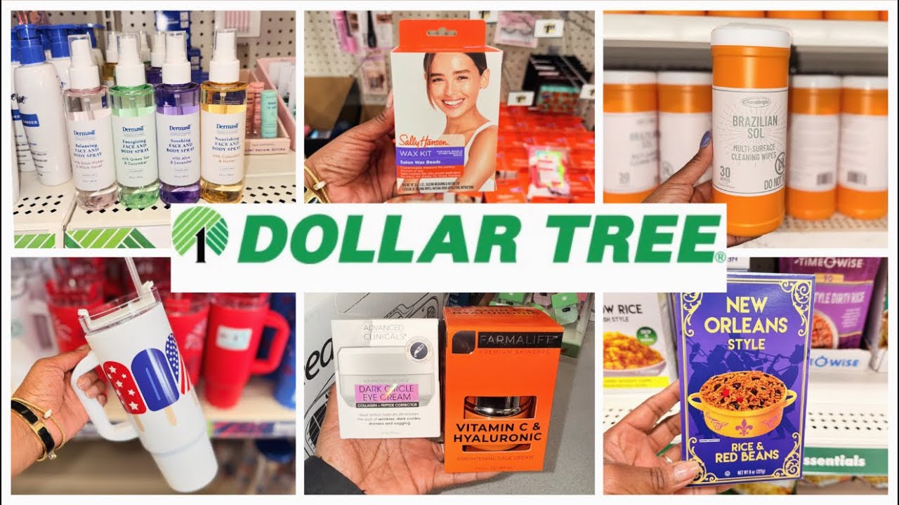 3 DOLLAR TREES LATER | DOLLAR TREE NEW FINDS