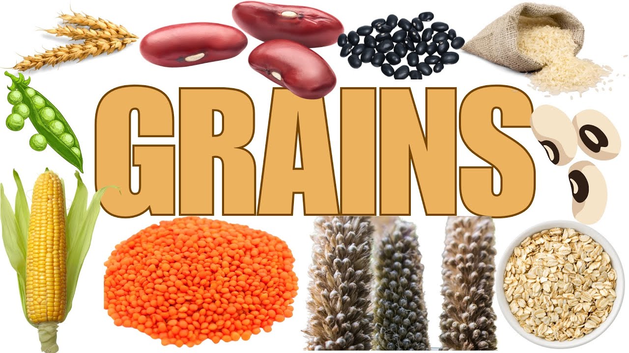 Grains Name Vocabulary for Kids |food | pulses| learn #rice #Wheat  #Barley #preschool  #Oats