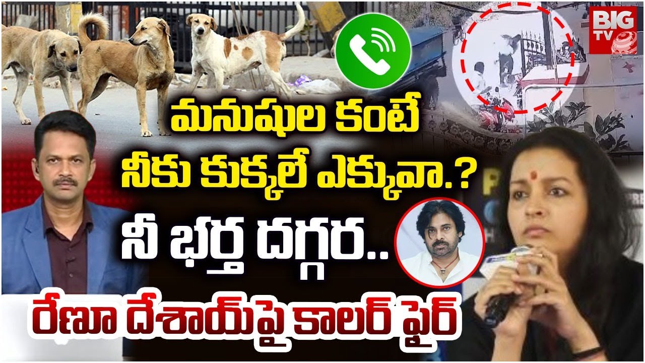 నీ భర్త దగ్గర భరణం తీసుకున్నావ్ | Live Caller Shocking Comments On Renu Desai| Supreme Court |BIG TV
