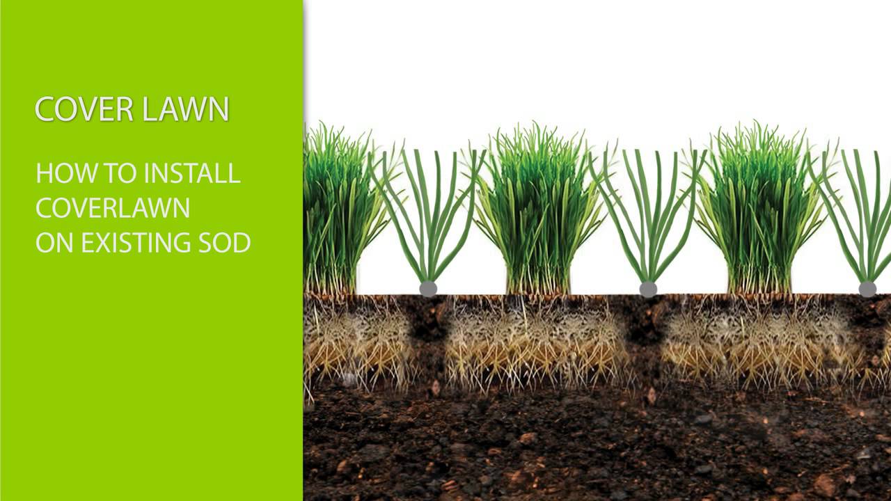 EZ Hybrid Turf - What is Coverlawn Hybrid Synthetic Turf?