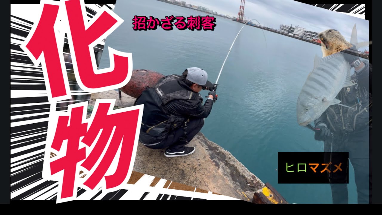 【フカセ】那覇の港で思わぬ刺客