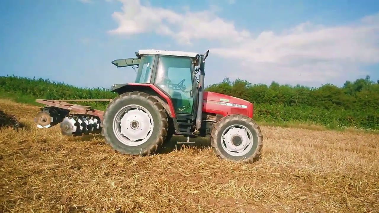 🔥Talerzowanie słomy🚜|2023|MF 6255|