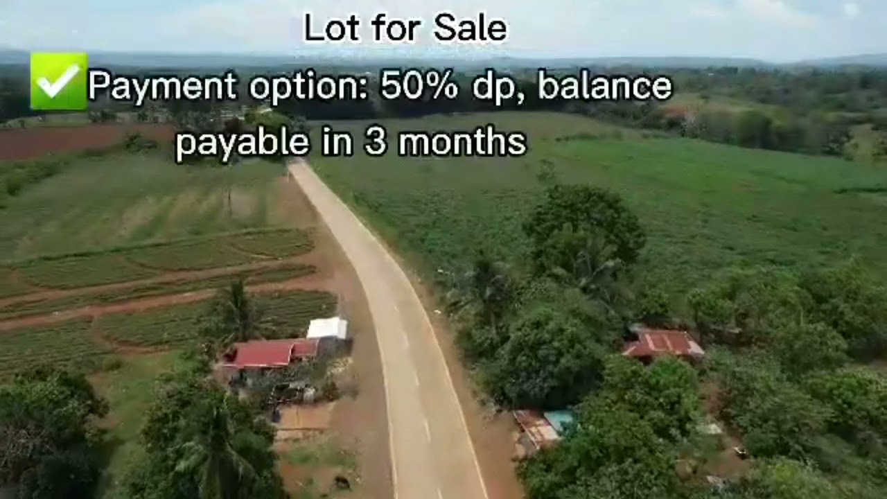 Mini Farm Lots at Lingating Baungon, Bukidnon just 19kms away from SM Uptown CDO | Karen Mel Go