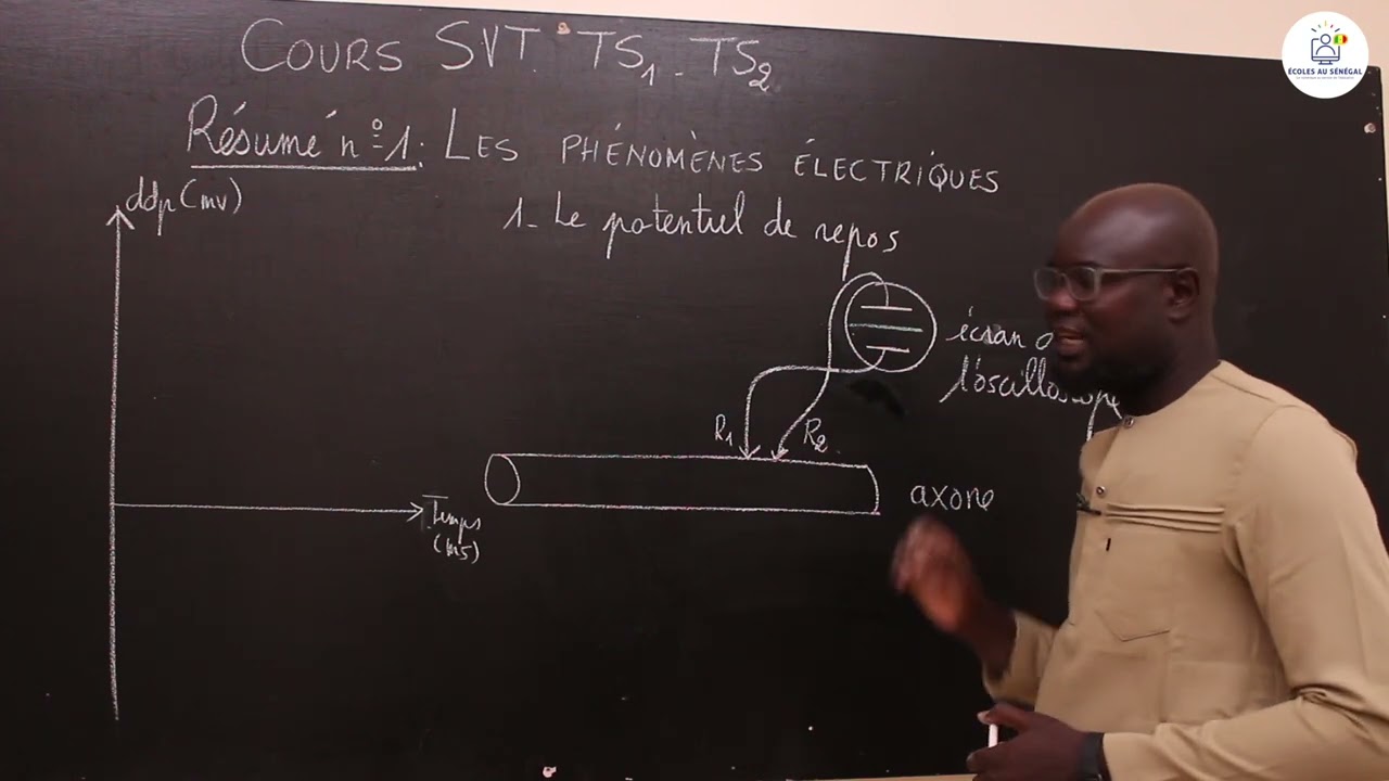 Cours - Tle S1 & S2 - SVT: Résumé de cours / Le tissu nerveux /les phénomènes électriques/ M. Gnasse