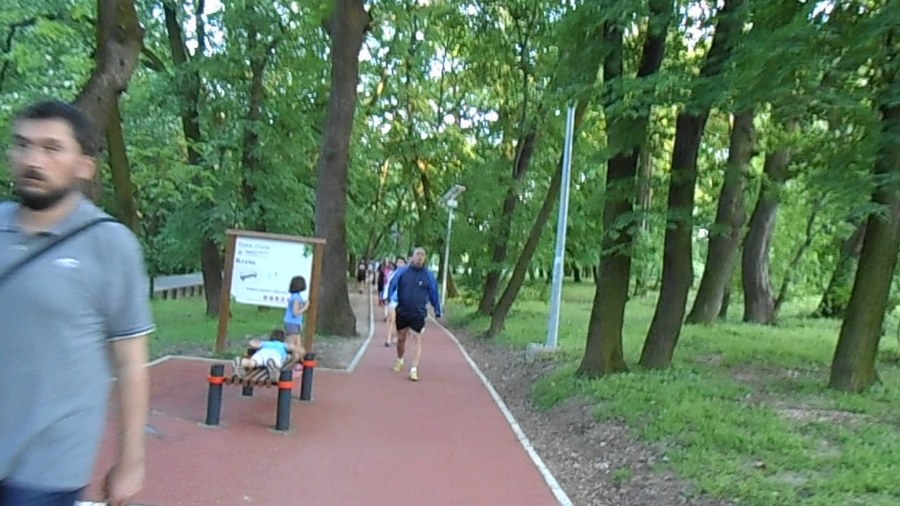 trim staza  na kosutnjaku