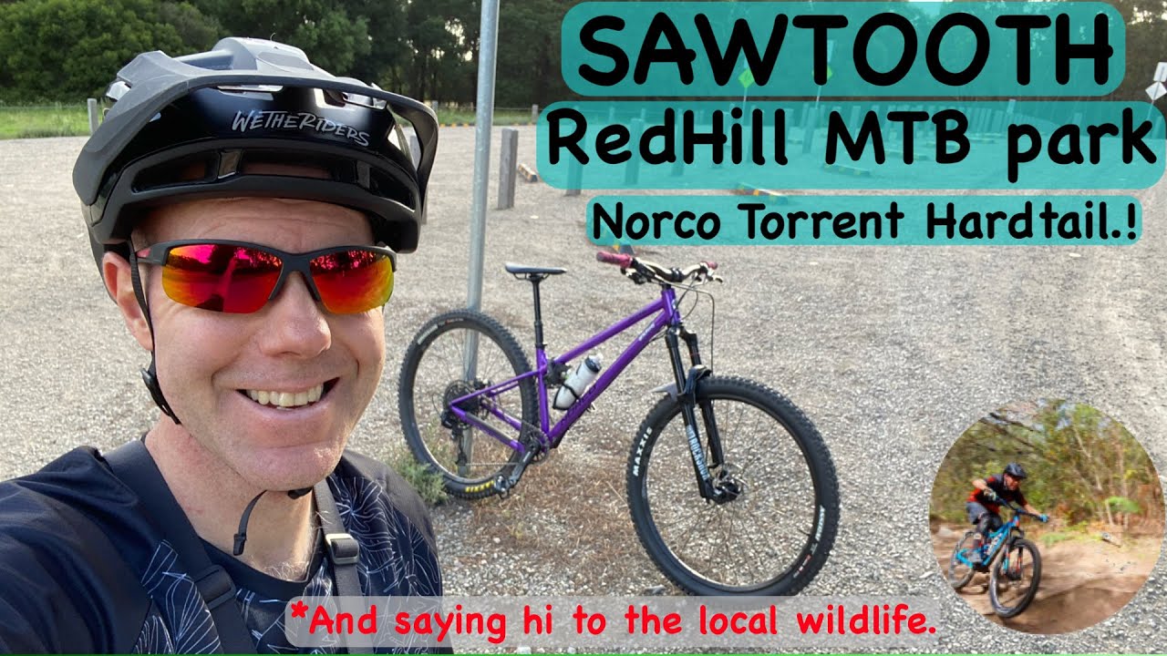 Sawtooth on my Norco Torrent All Mountain Hardtail. RedHill MTB.
