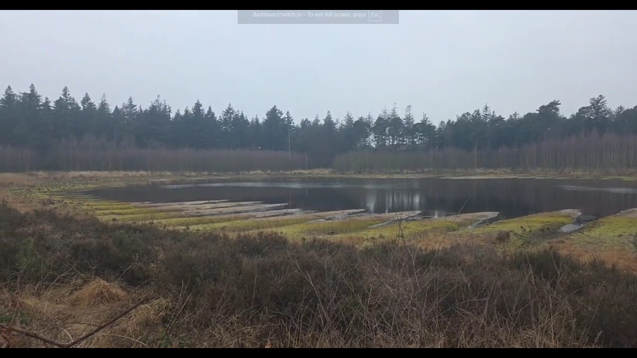 Walking through the Mastbos, Breda - Twitch VOD