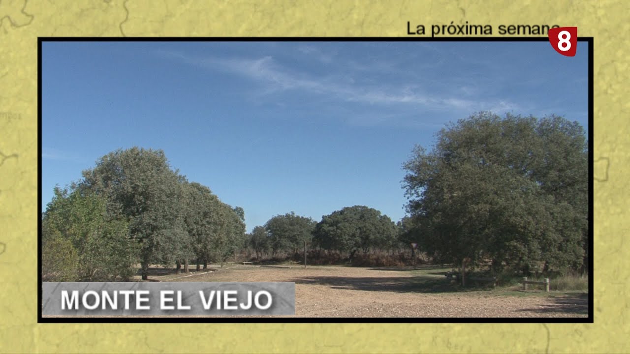 PREVIO 'Un Paseo por Palencia' MONTE EL VIEJO