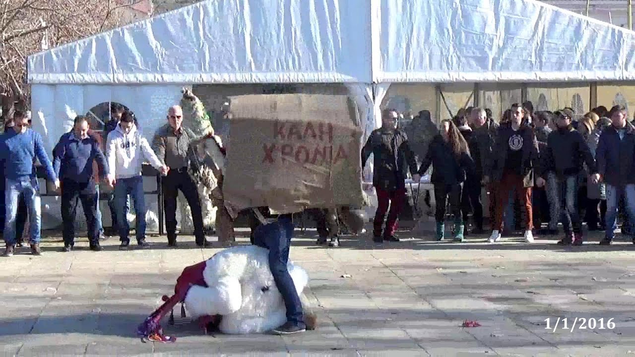 Καμήλες και Ντιβιτζήδες - Νέο Μοναστήρι Φθιώτιδας 