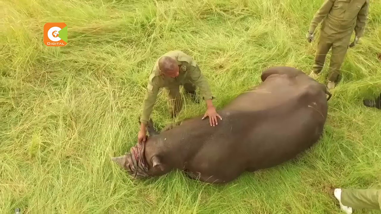 Askari wa wanyamapori waimarisha kazi zao