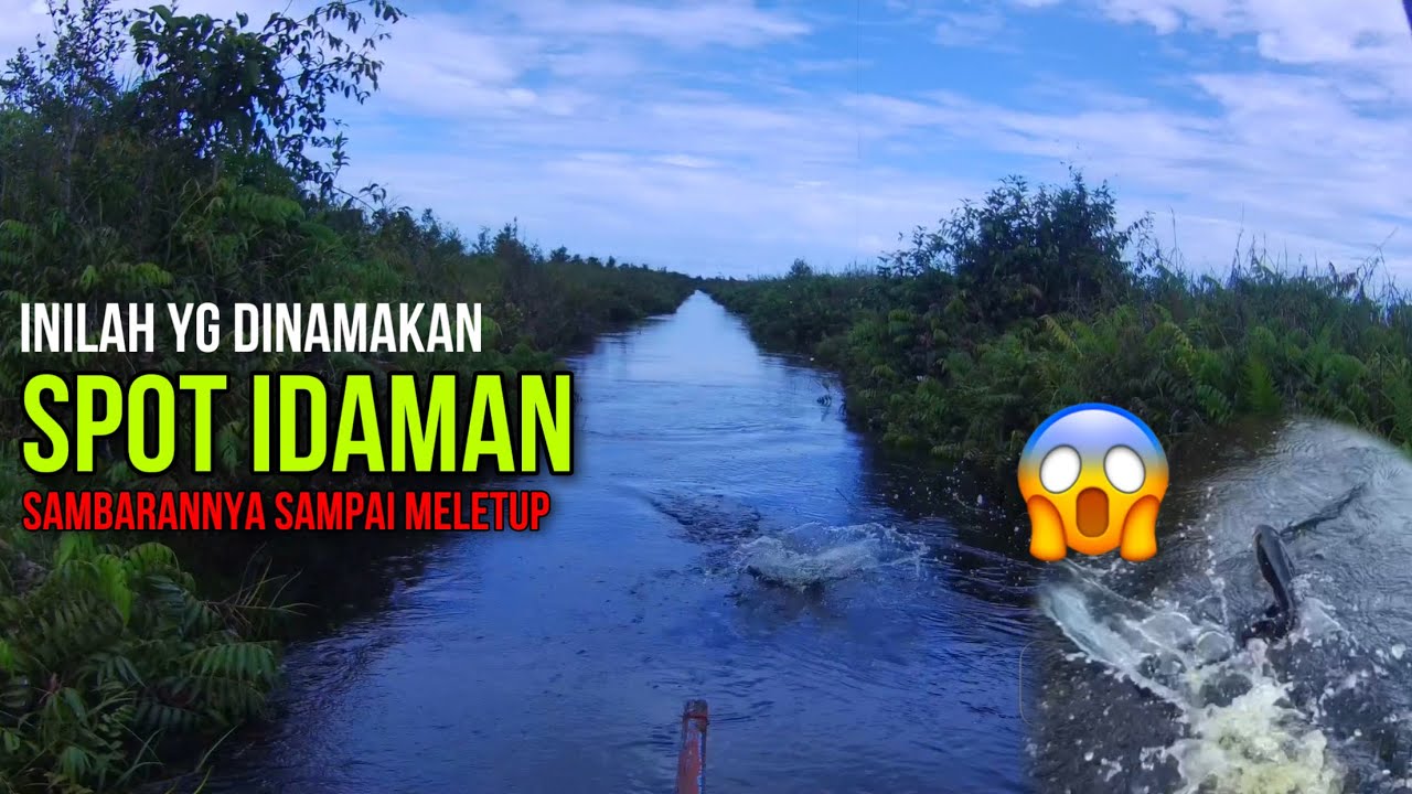 MAU HERAN ‼️ TAPI INI KALIMANTAN |SPOT MANCING YANG DIIMPIKAN PEMANCING|| CASTING TOMAN ‼️ | eps15