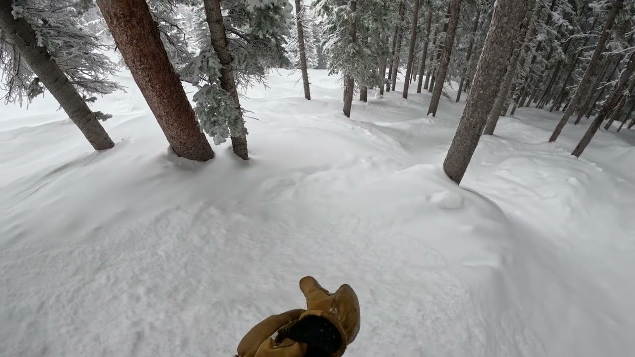 Aspen Highlands: Double Black Glades with The Dan in Freshies!