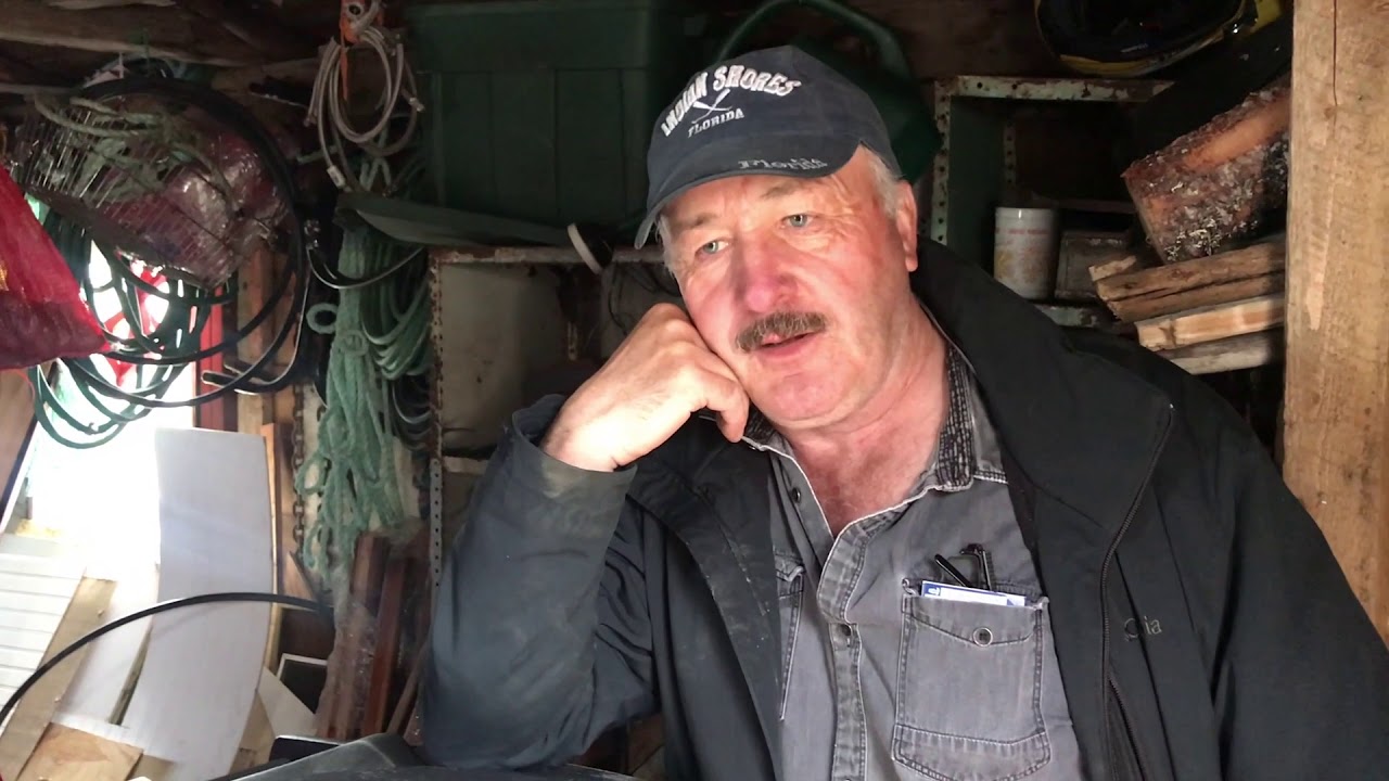Irish Words for Insects and Words/Customs from Point Lance, Newfoundland