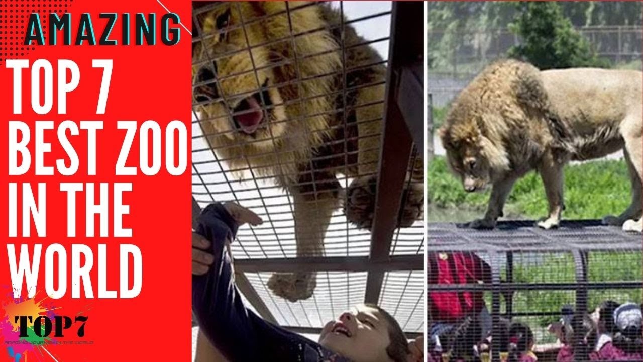 MOST STUNNING ZOOS IN THE WORLD | Top 7