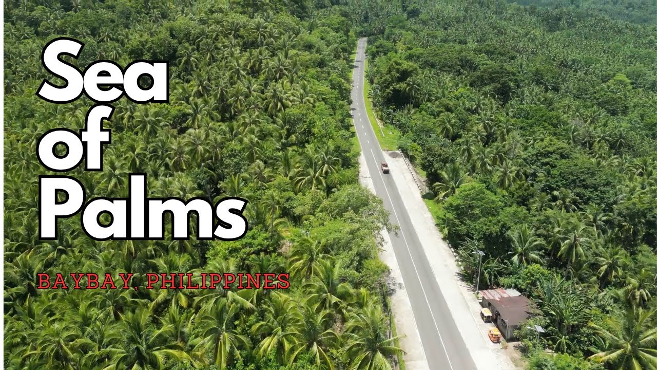 Exploring Baybay, Leyte on Two Wheels | Scenic Motorcycle Ride