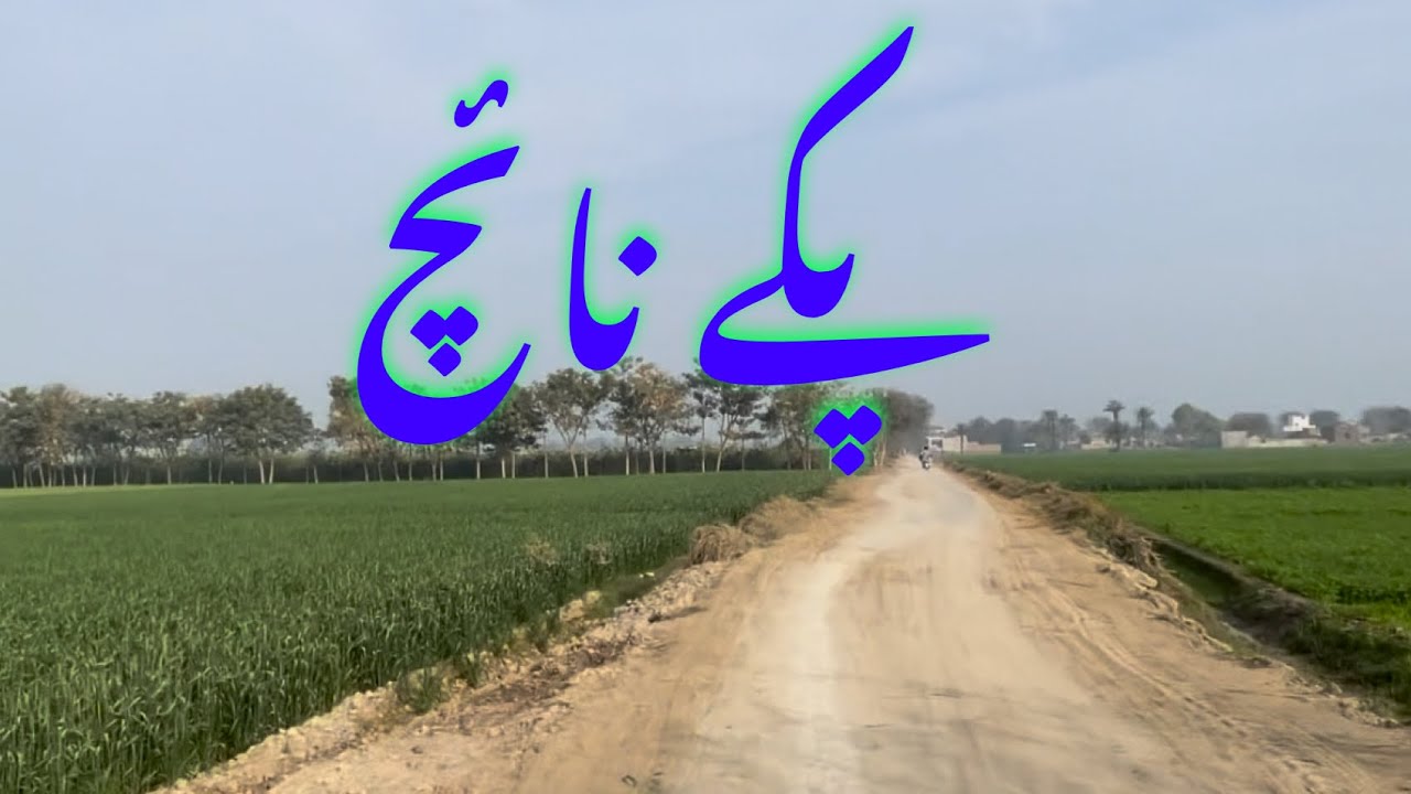 پکے نائچ ایسا کیا ھے