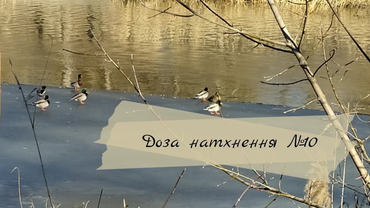 Твоя доза натхнення №10 // Фініш на шляху духовного розвитку 