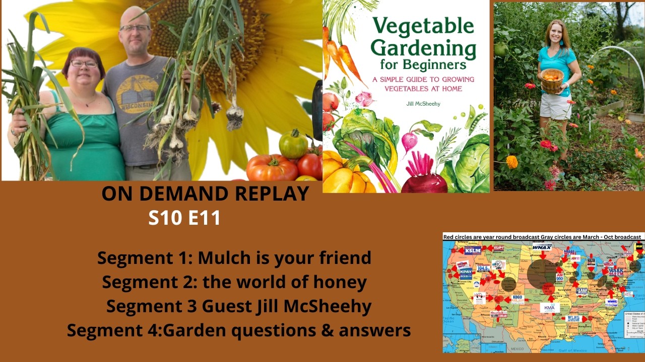 Audio S10E11 Mulch is your friend, the word of honey, Guest Jill McSheehy, Q&A  Gardening Radio Show