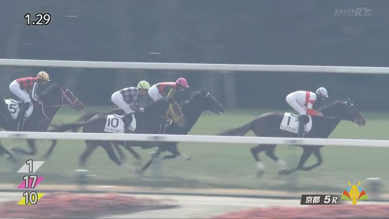 ブラックオリンピア 3歳未勝利 2026/1/24