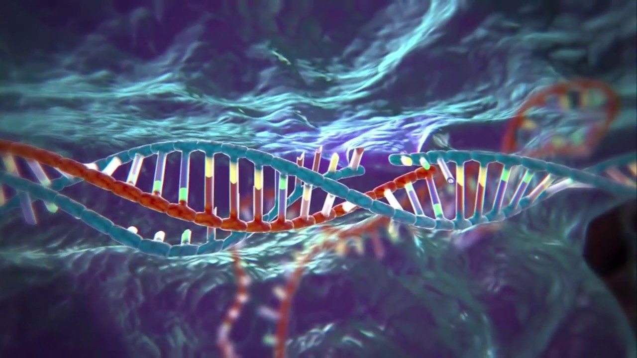 CRISPR-Cas, il kit 