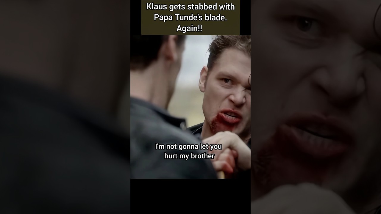 Hello, Nik. #shorts #klausmikaelson #theoriginals #tvshow