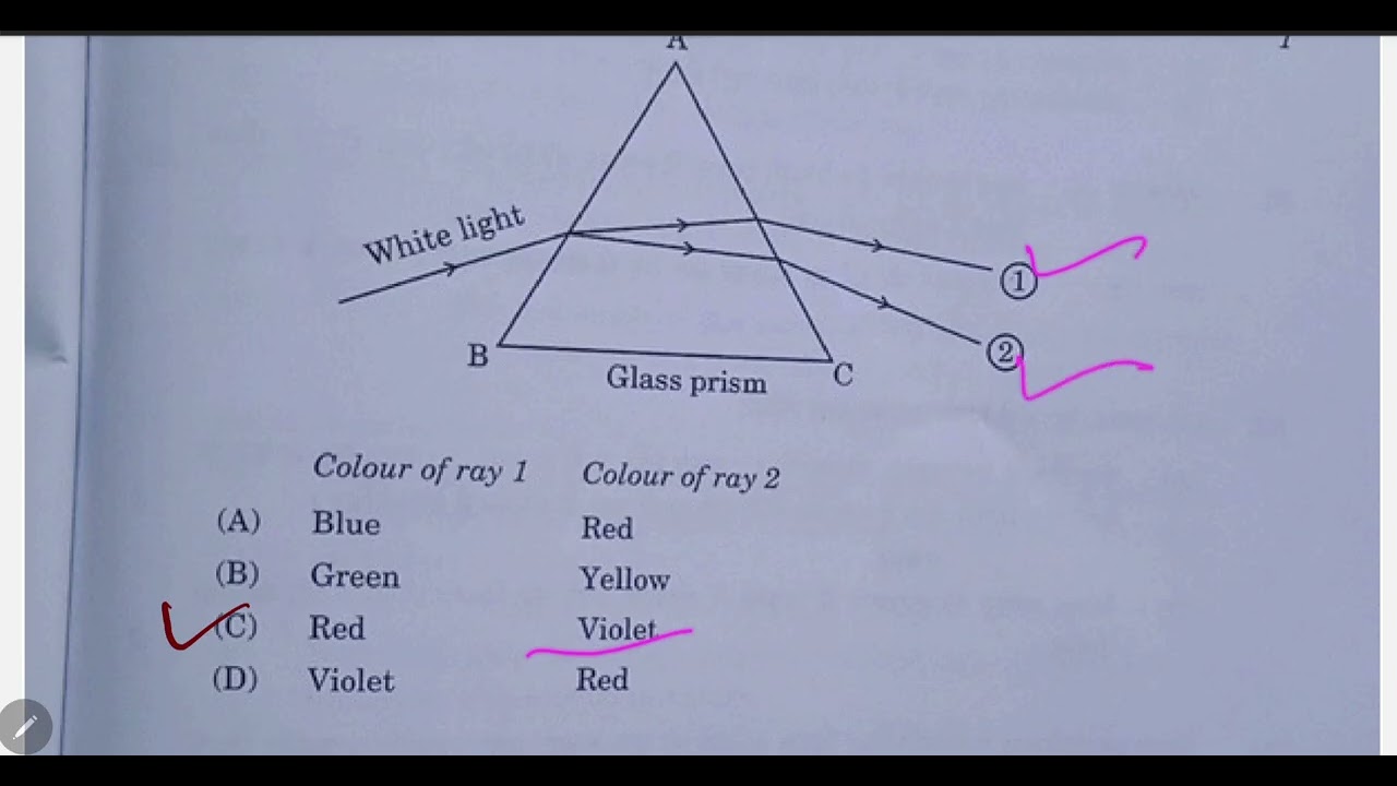  class 10 Science CBSE annual exam 2026 answer key code 31/3/2