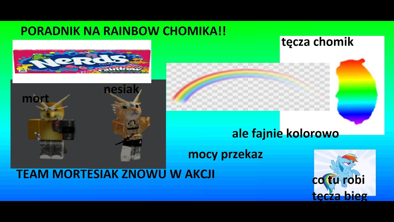Poradnik Na rainbow chomika | FTC #15