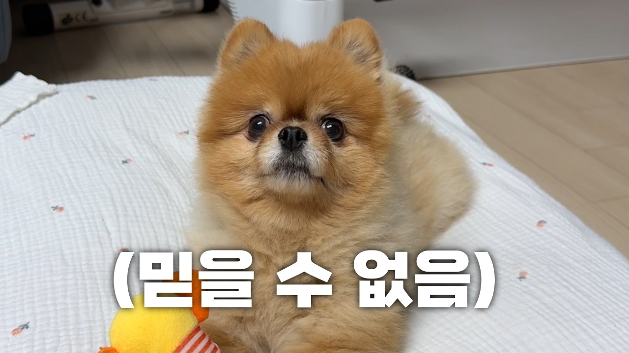 잘 놀고 있었는데 속상한 말을 들었어요