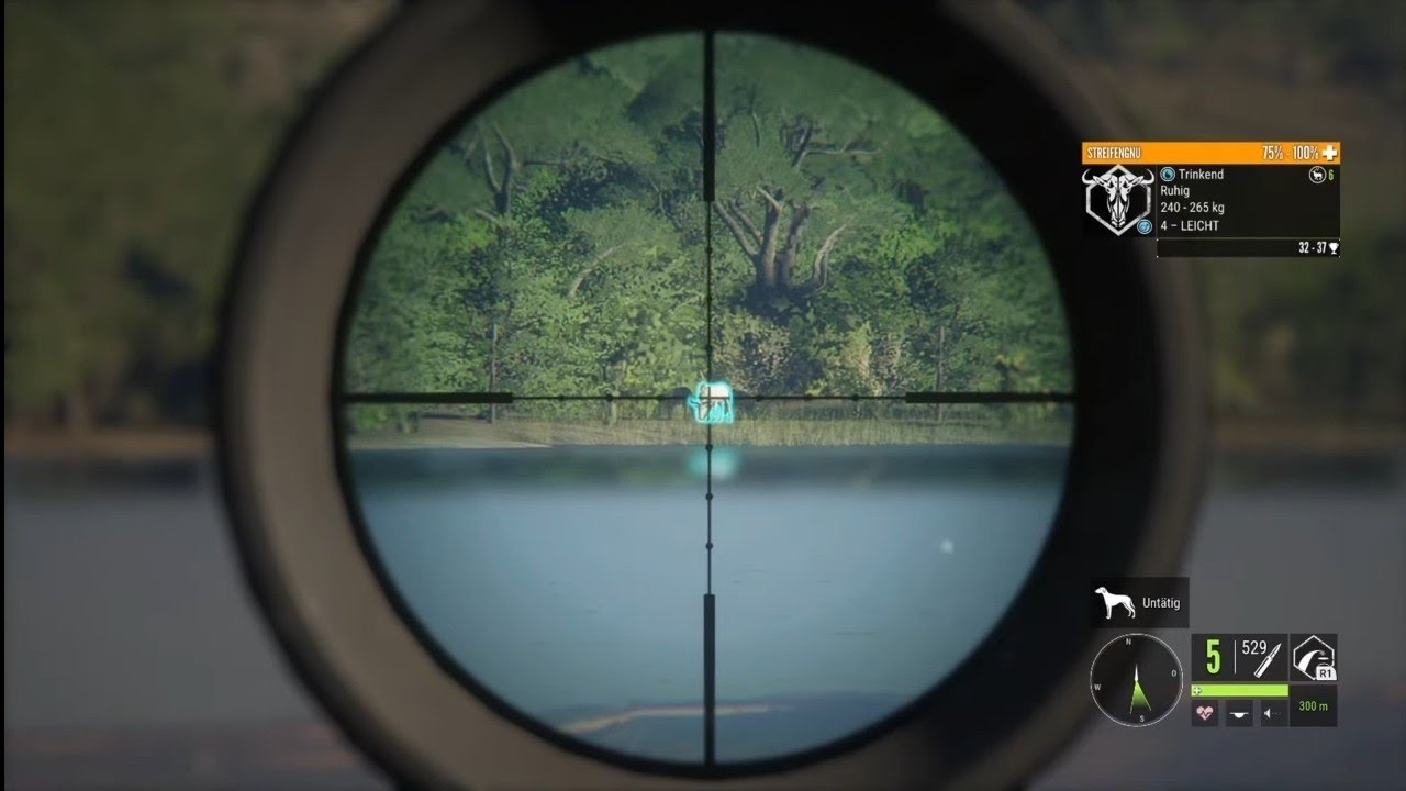 Diamond and Rare Montage #72 /The Hunter Call of the Wild Montage