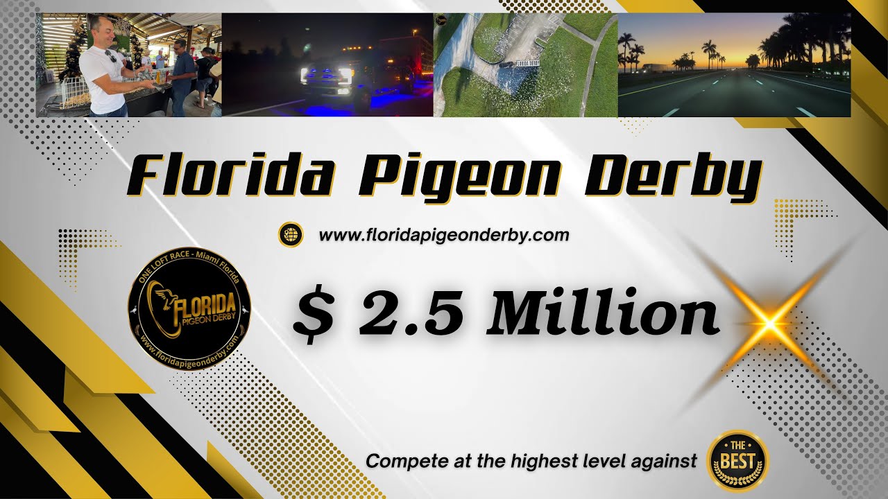 FLORIDA PIGEON DERBY 2.5 MILLION IN PRIZE MONEY