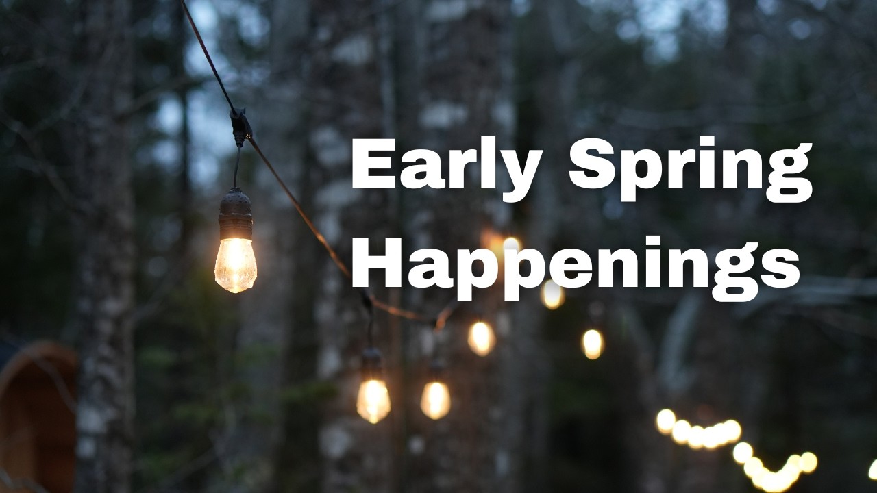 Early Spring in Nova Scotia | Snow, Clean Up & Seed Starting Adventures