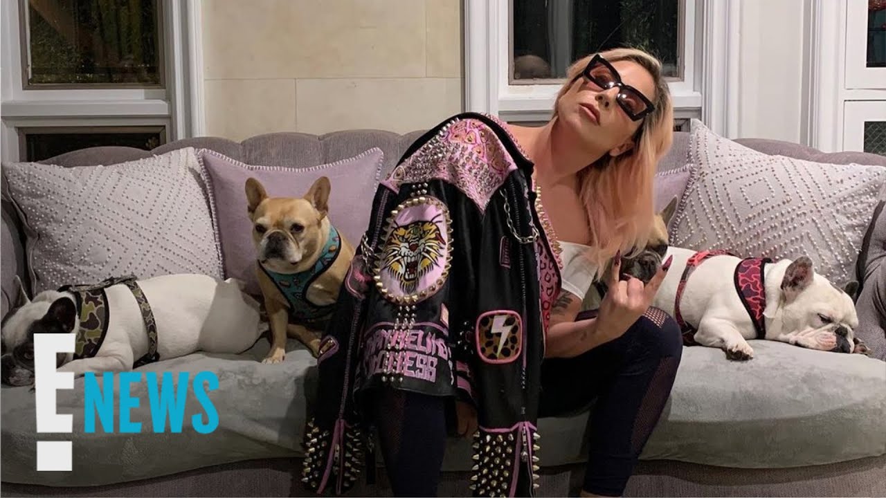 Lady Gaga's Dognappers Have Been Arrested | E! News